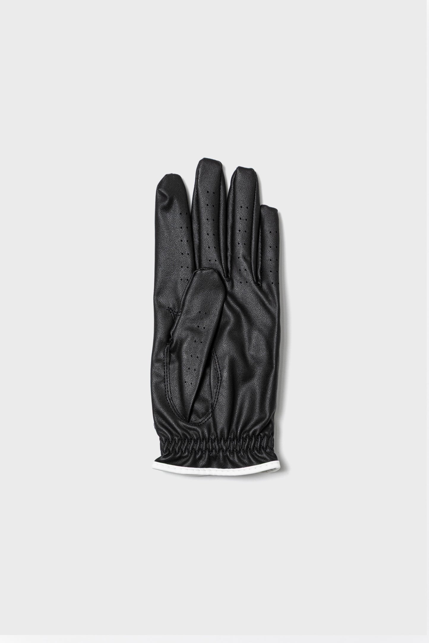 ESQUISE GOLF GLOVE